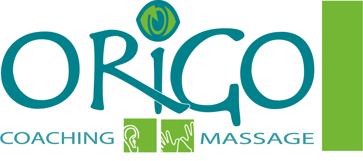Origo Coaching